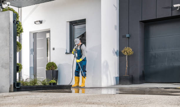 Best Driveway Pressure Washing  in Westwood Shores, TX
